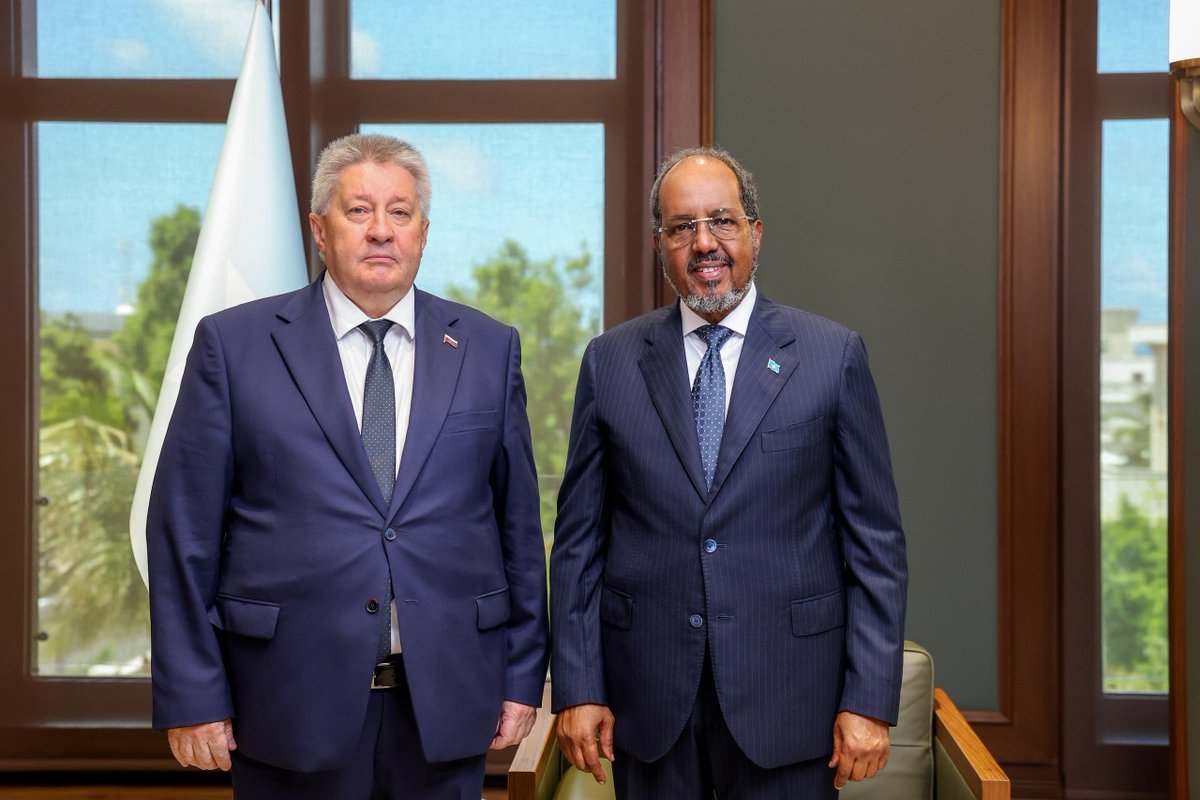 Villa Somalia tweet media