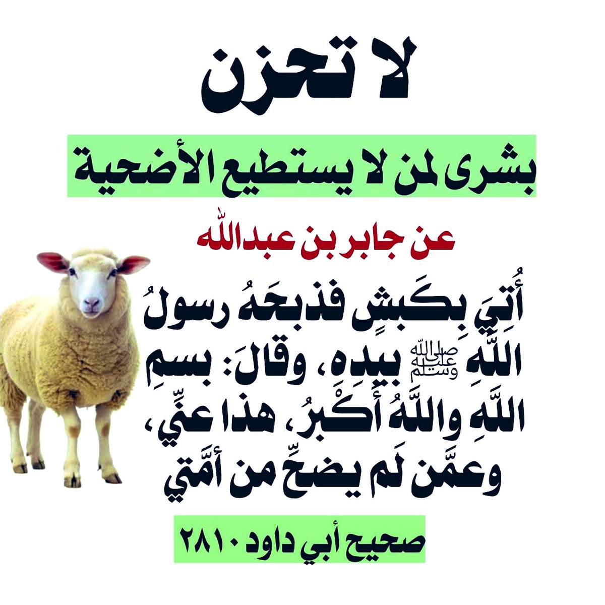 أ.د.بسام الشطي tweet media
