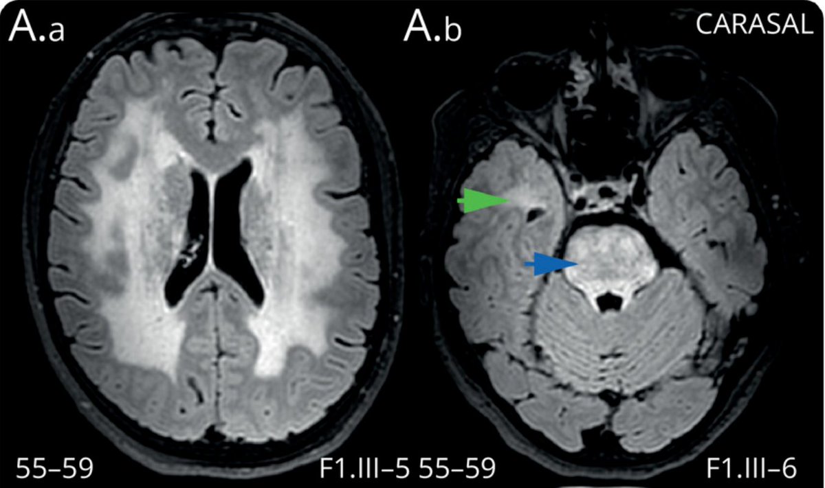 Neurochecklists tweet media