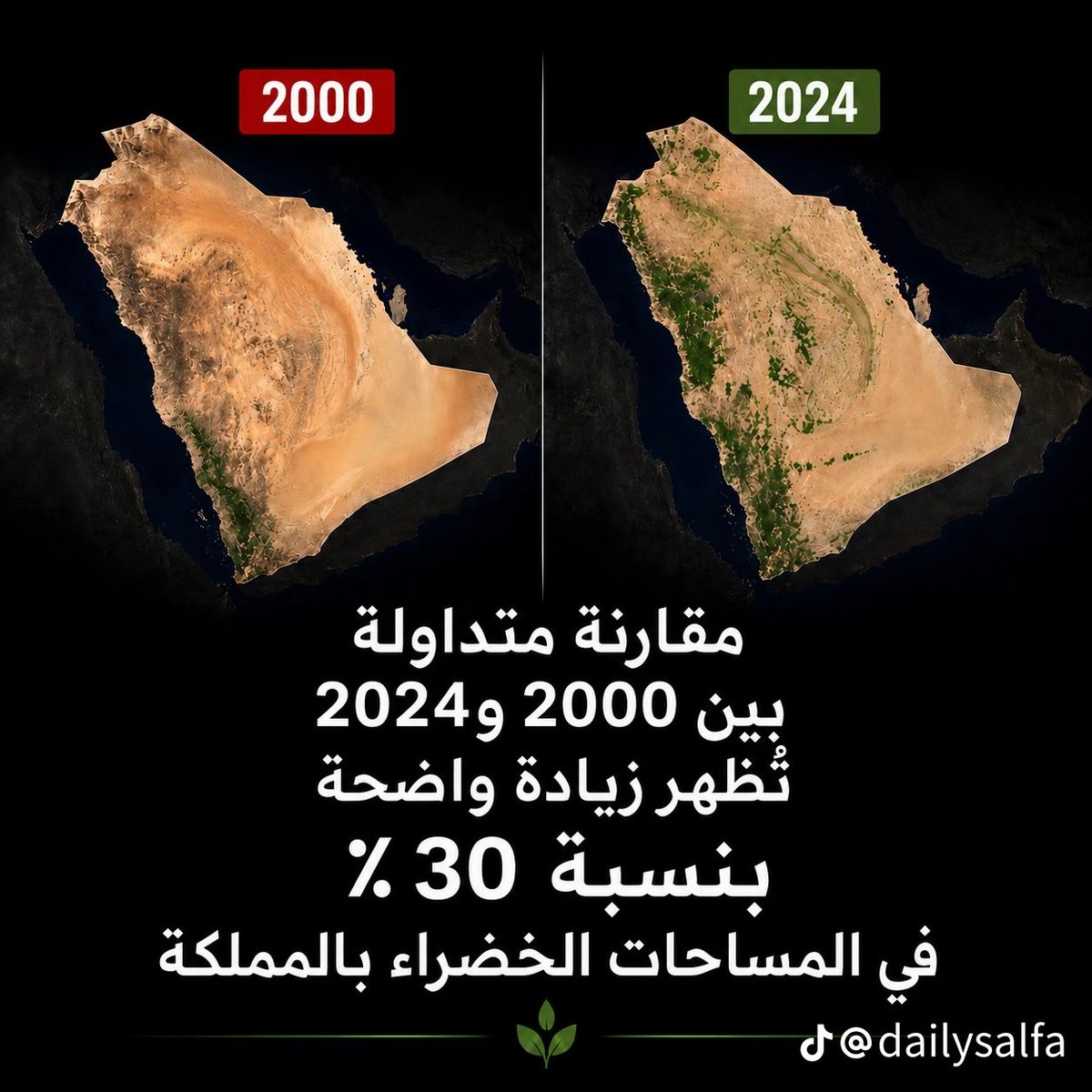 9999SSSS9's tweet photo. السعودية الخضراء https://t.co/OVeLTFsYMP