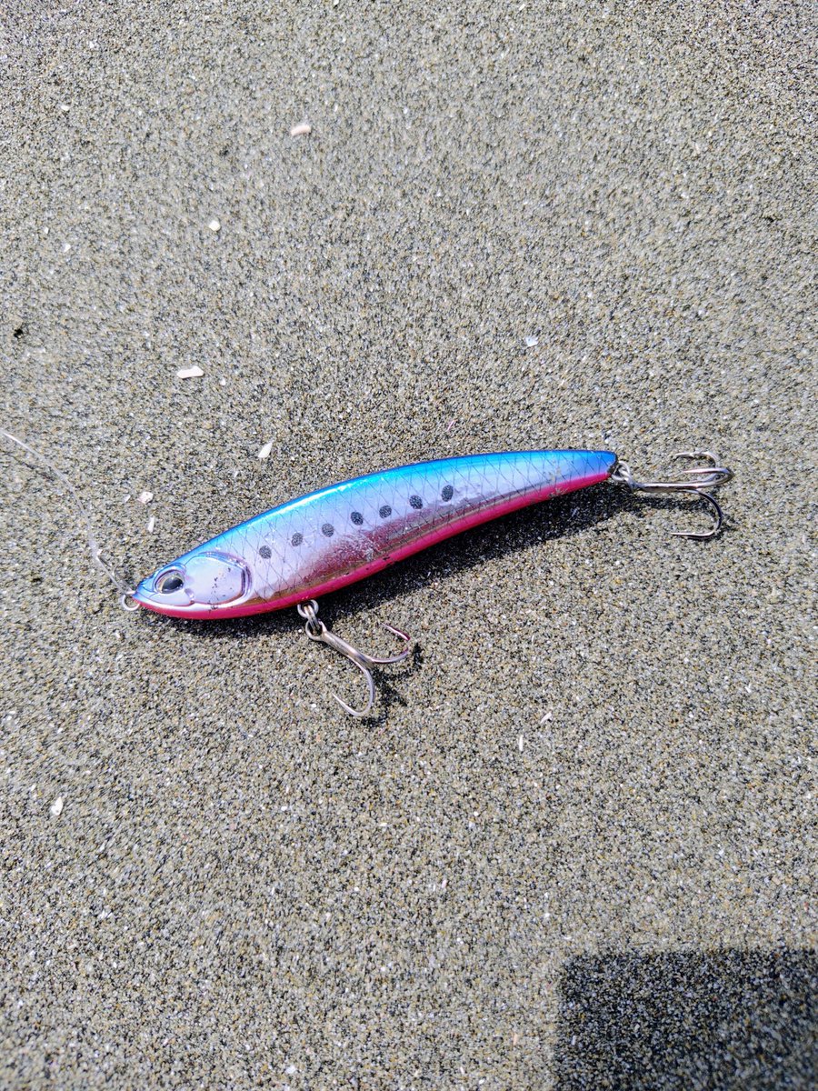 terastation515's tweet photo. 5月20☀
in三重サーフ！

DUOの
リンバー95Sにマゴチがヒット！🐟️

・ヒットルアーは
【DUO】リンバー95S

#DUOinternational
#DUOサポーター
#リンバー95S
#三重サーフ
#PR https://t.co/uCvQhaQJzv