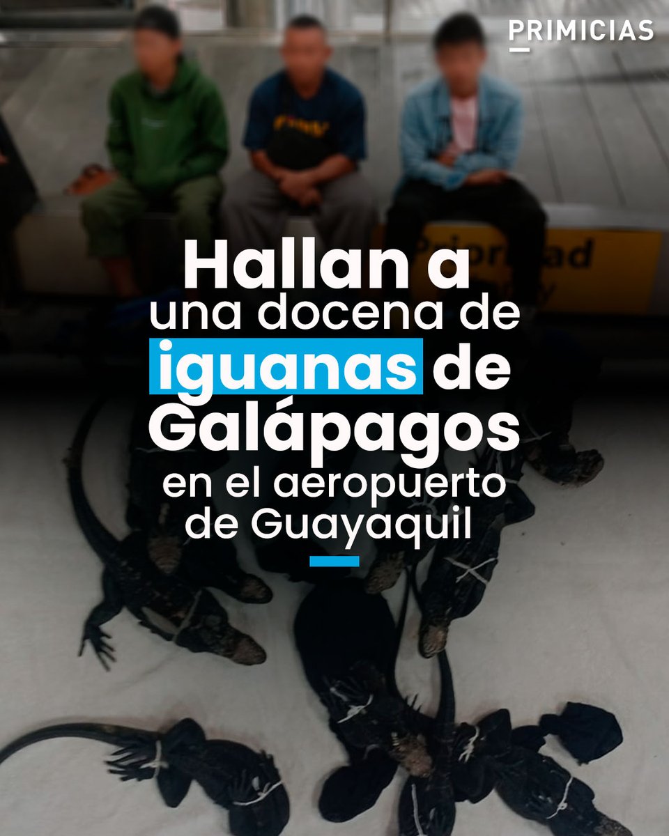 Primicias tweet media