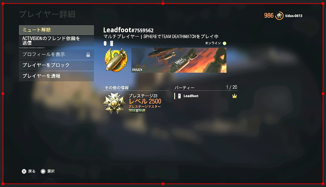 Lead_foot
