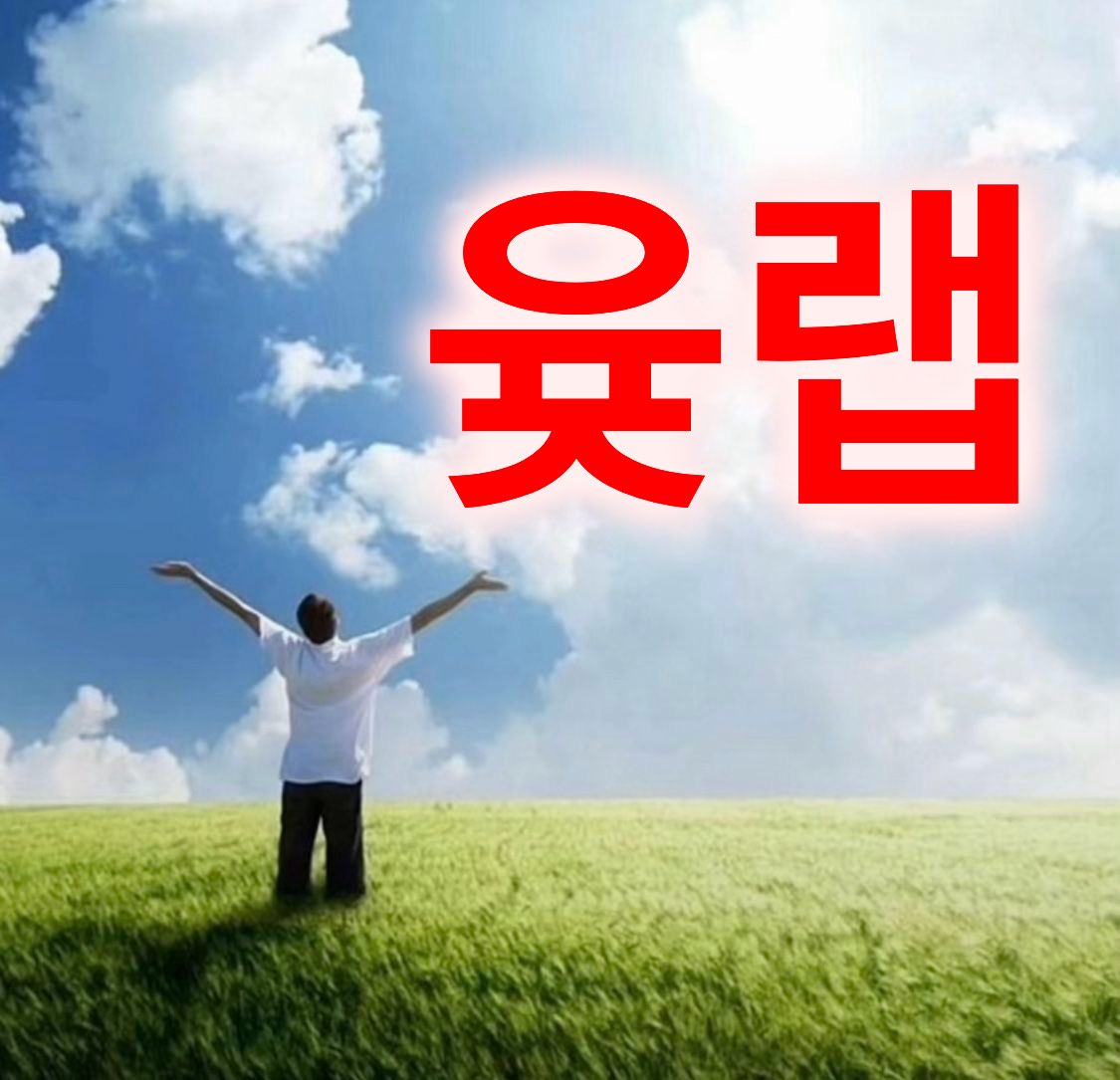 난 tweet media