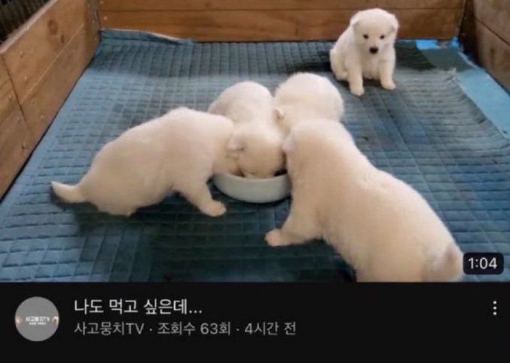 만강이 tweet media