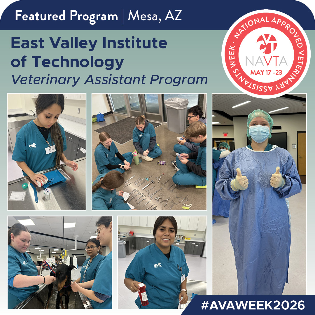 VetTechs's tweet photo. #AVAWeek2026 Spotlight: East Valley Institute of Technology 

NAVTA-approved since 2016, EVIT’s high school Vet Assistant Program provides hands-on training, CVT mentorship, externships, and AVA Exam preparation for future VAs.

#EssentialAVAs
https://t.co/A4TKZOYhEK https://t.co/rfgXWFixnV