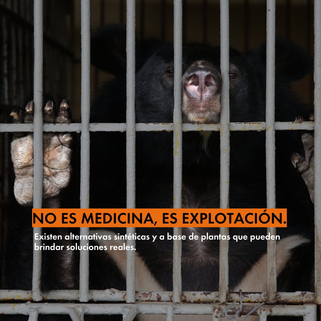 Protección Animal Mundial tweet media