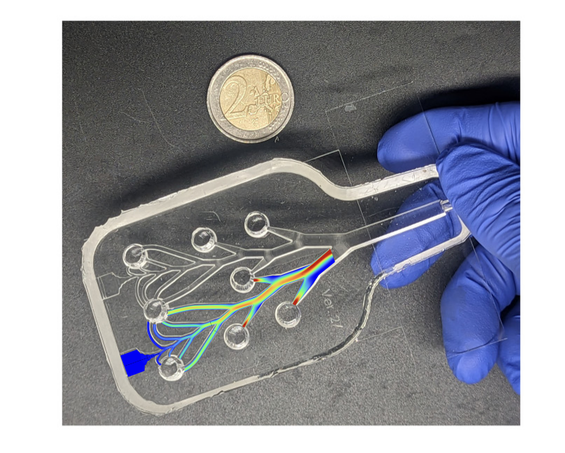 PhysRevFluids's tweet photo. Electrostatic charge affects aerosol deposition within the lungs: a multiscale in vitro one-path lung model shows that charge modifies deposition patterns and identifies where electrostatics start to dominate over traditional deposition mechanisms.

https://t.co/RYaomgKNUX https://t.co/s5fLBExq7t