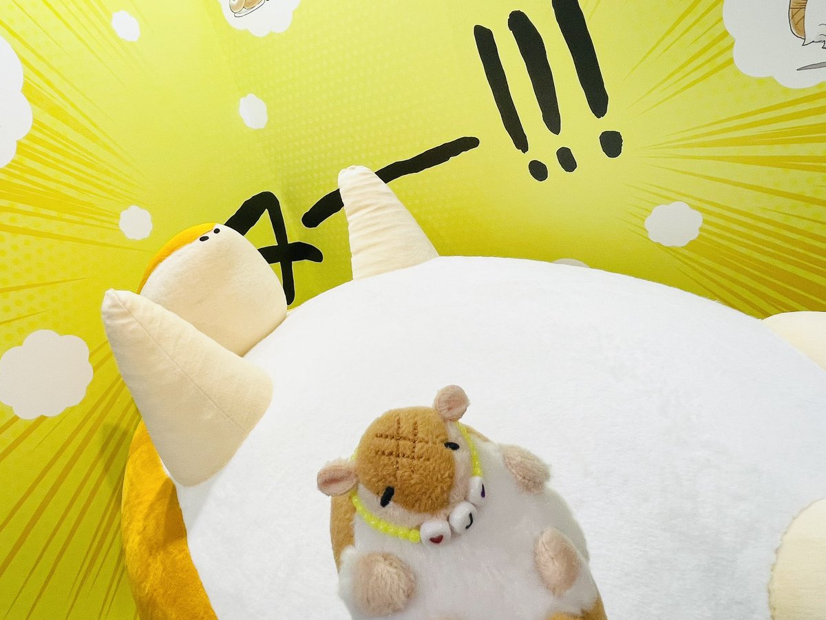 ∠わちゃ🍙 tweet media