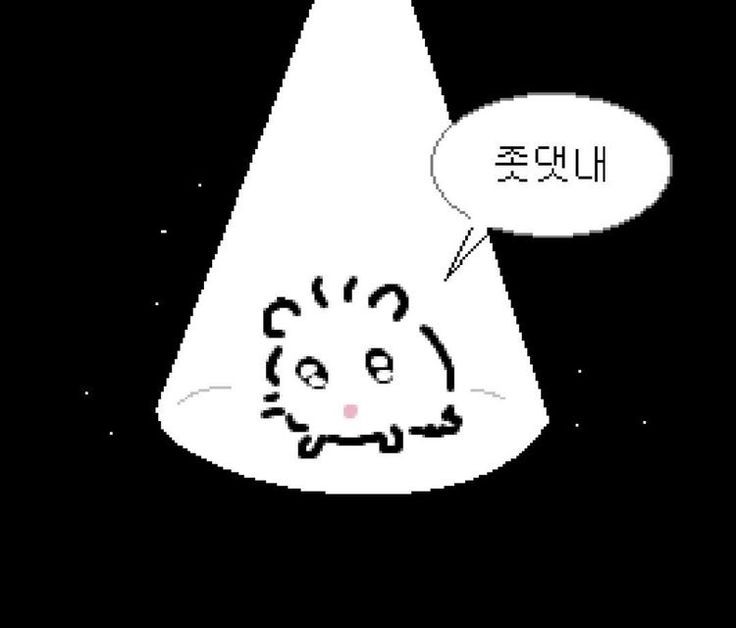 김노트 tweet media