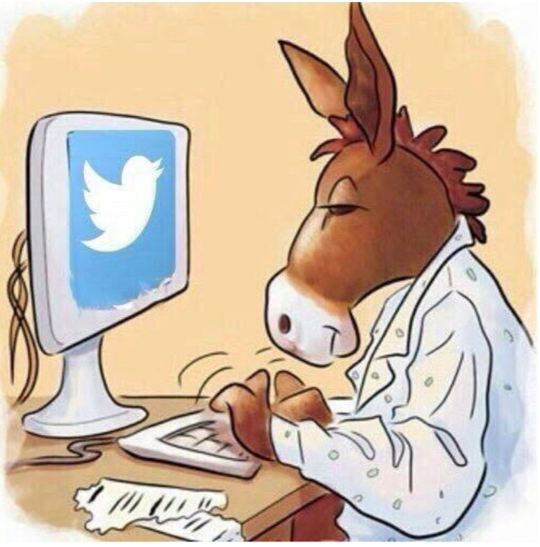 ♡ tweet media