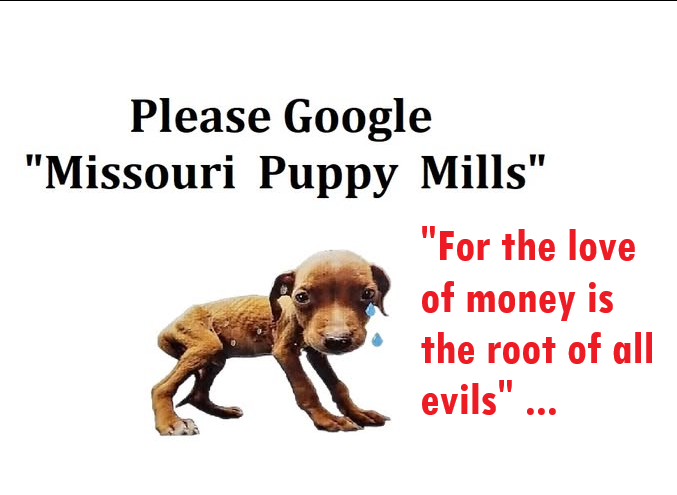 prettyinc's tweet photo. @RealAmVoice @DBrodyReports @RealDrGina @TBatesNews "For the love of money is the root of all evils"
Make Missouri Greater Than This 💔💔💔
#WWJD #MAGA #MOLEG #MOSEN #MISSOURIGOP #MOAGRICULTURE #WaysandMeansGOP #WhiteHouse https://t.co/98fJy9e43m