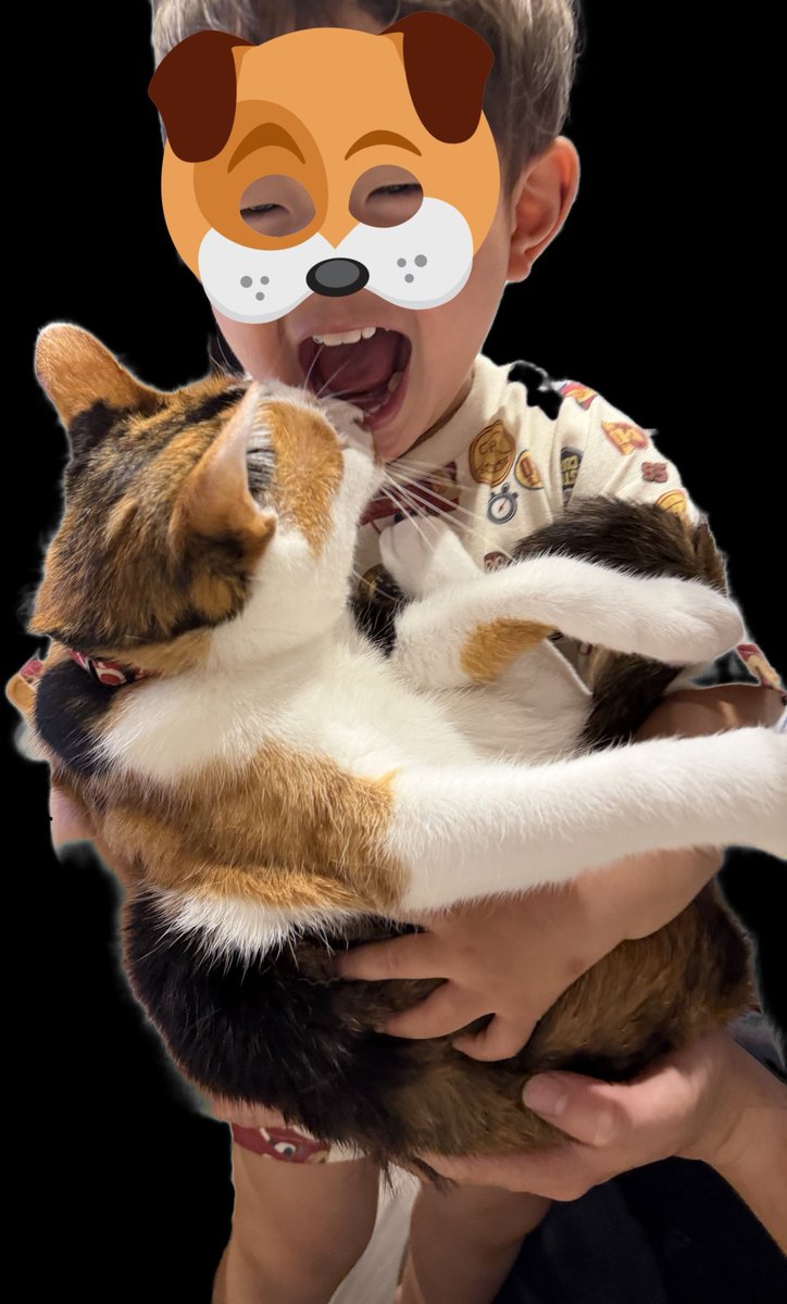 Ron20140106's tweet photo. 産まれた時から犬猫🐶🐈️🐈️🐈️🐈️のいる生活って…つまりこう言う事。
しじみもされるがまま🤣🤣 https://t.co/8nGLJa8KaY