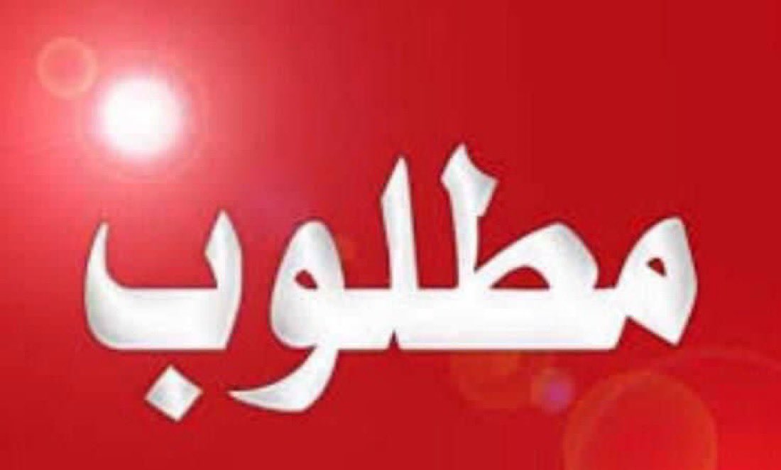 امير البغدادي tweet media
