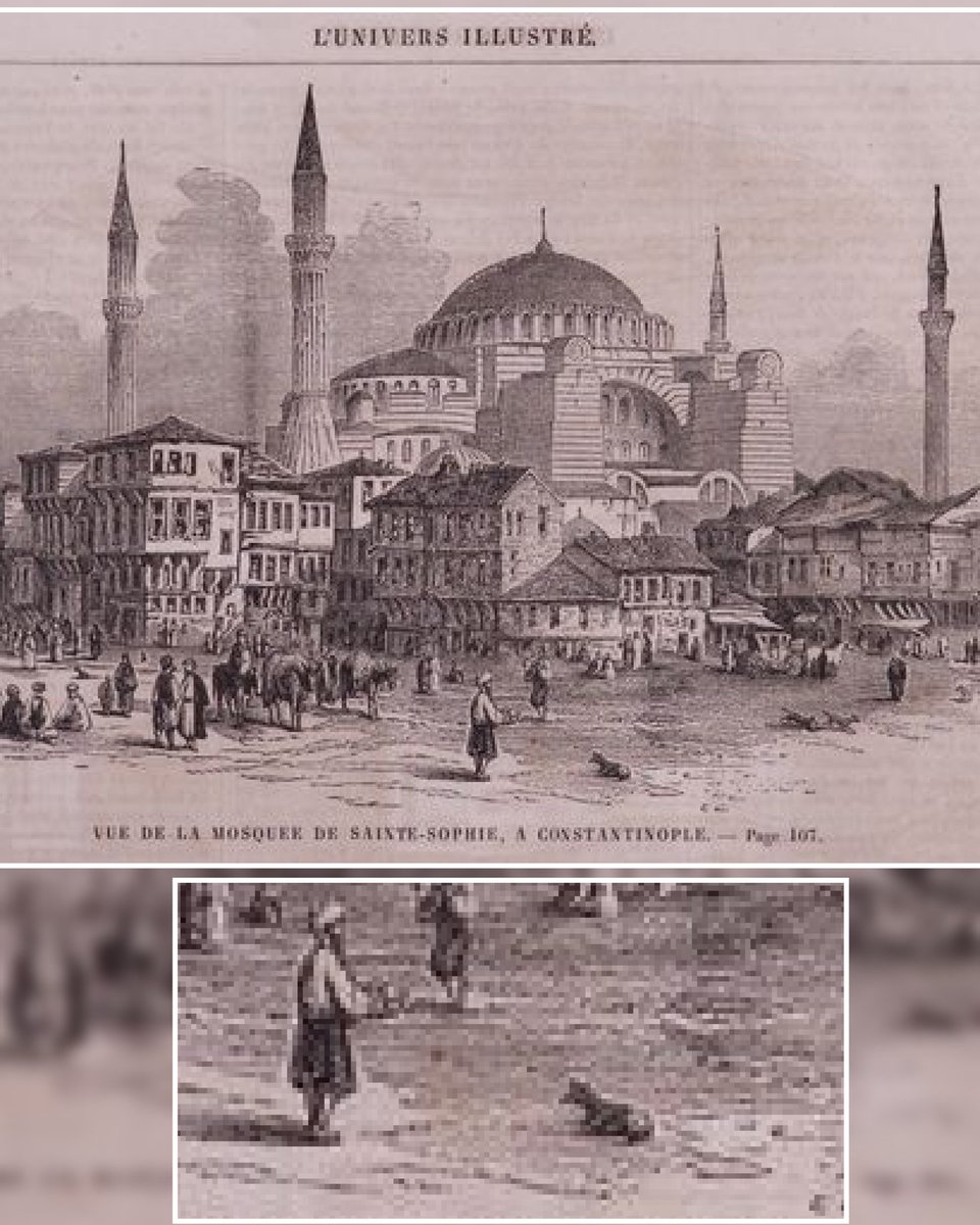 DeMir tweet media