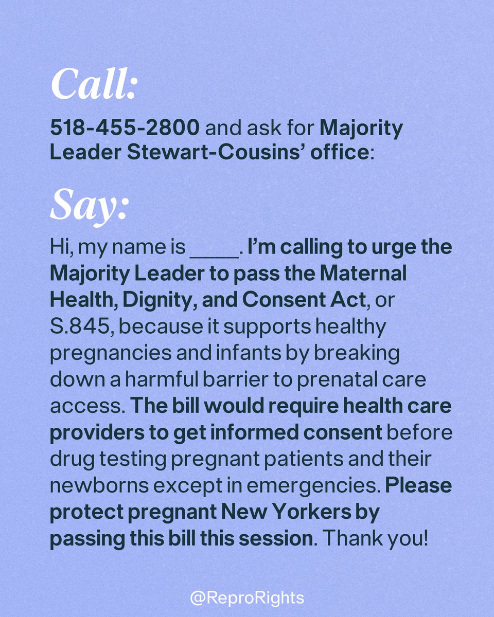 ReproRights's tweet photo. 📢🗽 NEW YORKERS: We're calling on Majority Leader Stewart-Cousins to prioritize the Maternal Health, Dignity and Consent Act this session—but we need your help!

☎️ Call 518-455-2800 and ask for his office, then use this call template. Learn more: https://t.co/VpweRHwtbj https://t.co/QQa43wA9ra