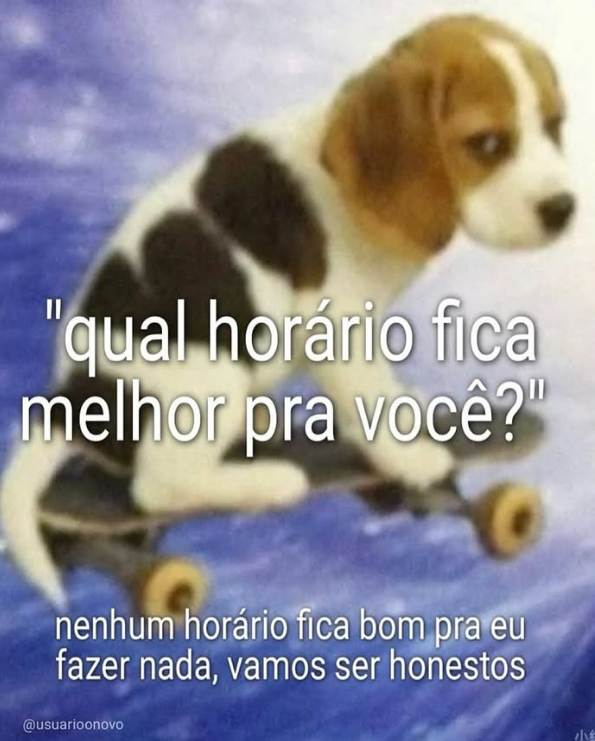 Trouxinha tweet media