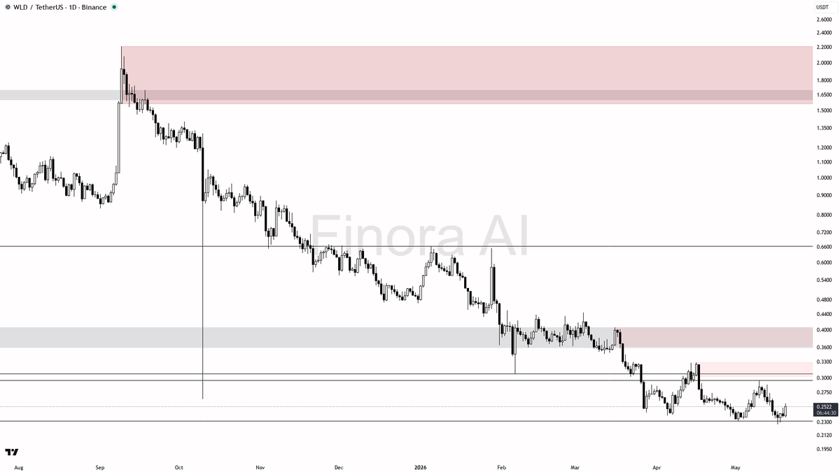 Finora AI - Your Trade Buddy tweet media