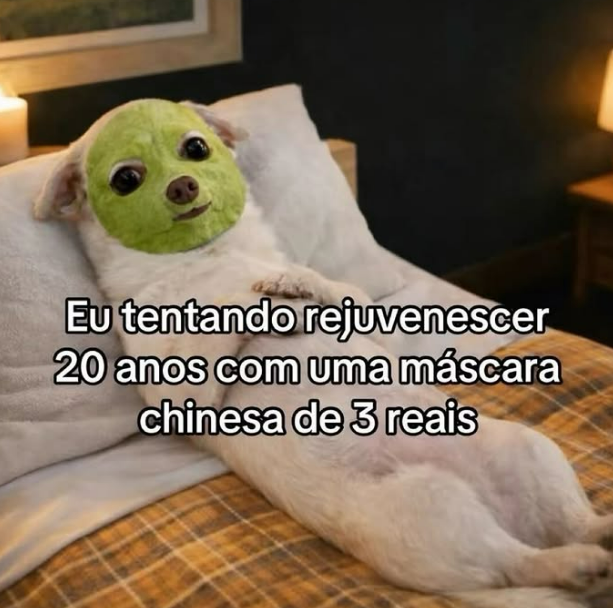 Trouxinha tweet media
