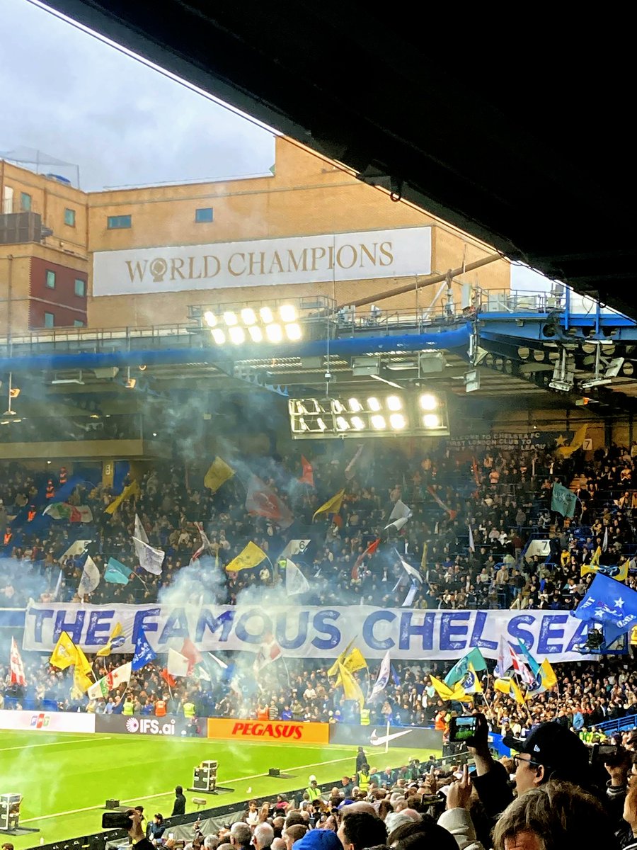 WE ARE THE SHED ⭐⭐ tweet media