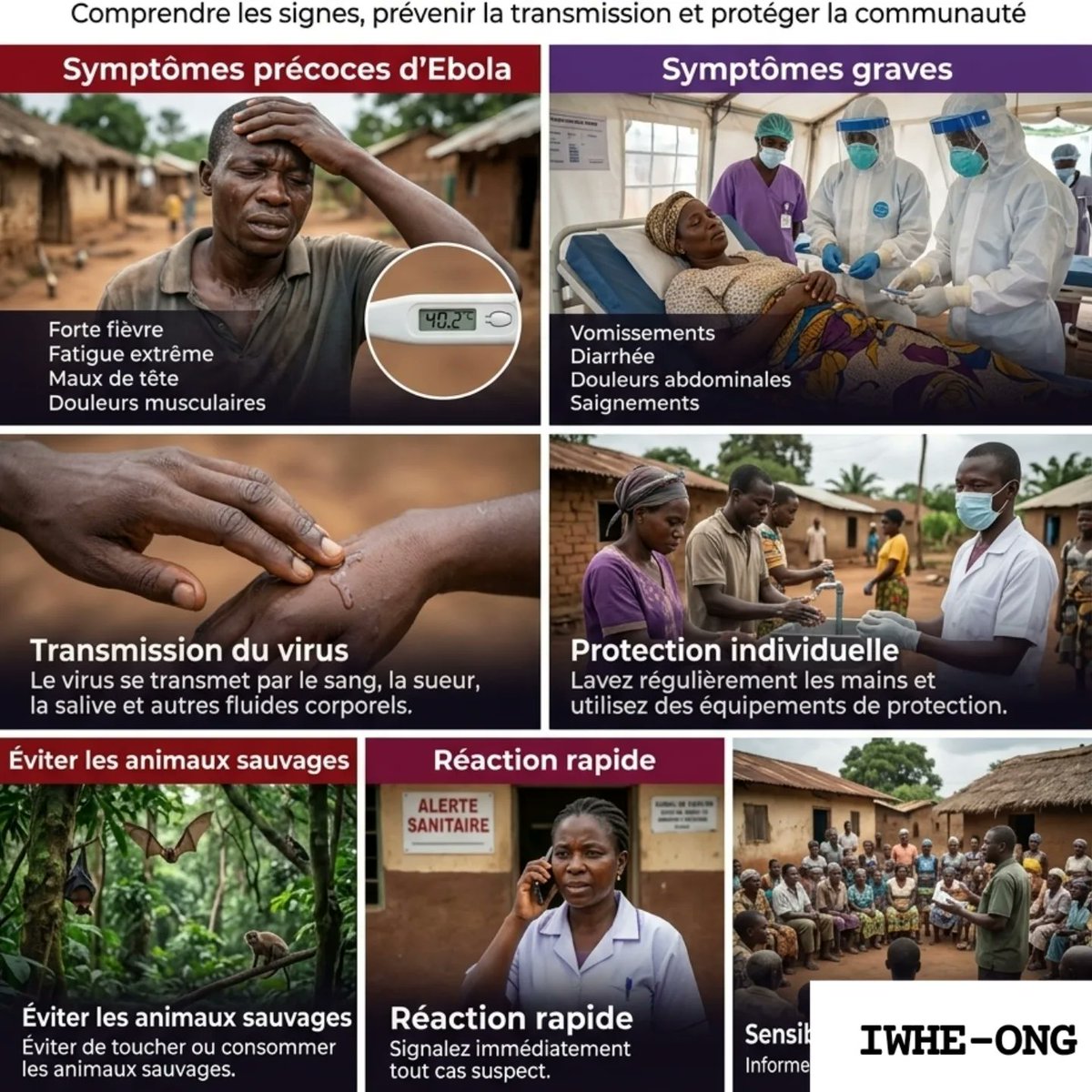 iwhe_ong's tweet photo. 🚨 Ebola peut se propager rapidement si nous négligeons les mesures de prévention.

🩺 Symptômes :
Fièvre, fatigue, vomissements, diarrhée, douleurs musculaires.

 Prévention :
 Lavage des mains
 Éviter les fluides corporels
 Signaler les cas suspects
La prévention sauve des vies https://t.co/oQ0MU4k4Mf