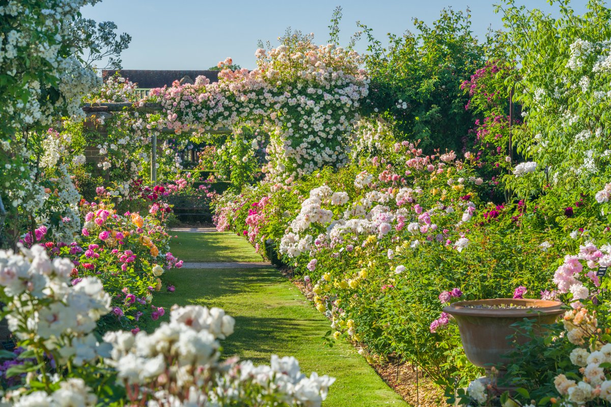 RAF Cosford Air Show tweet media