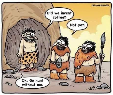 Archaeo - Histories tweet media