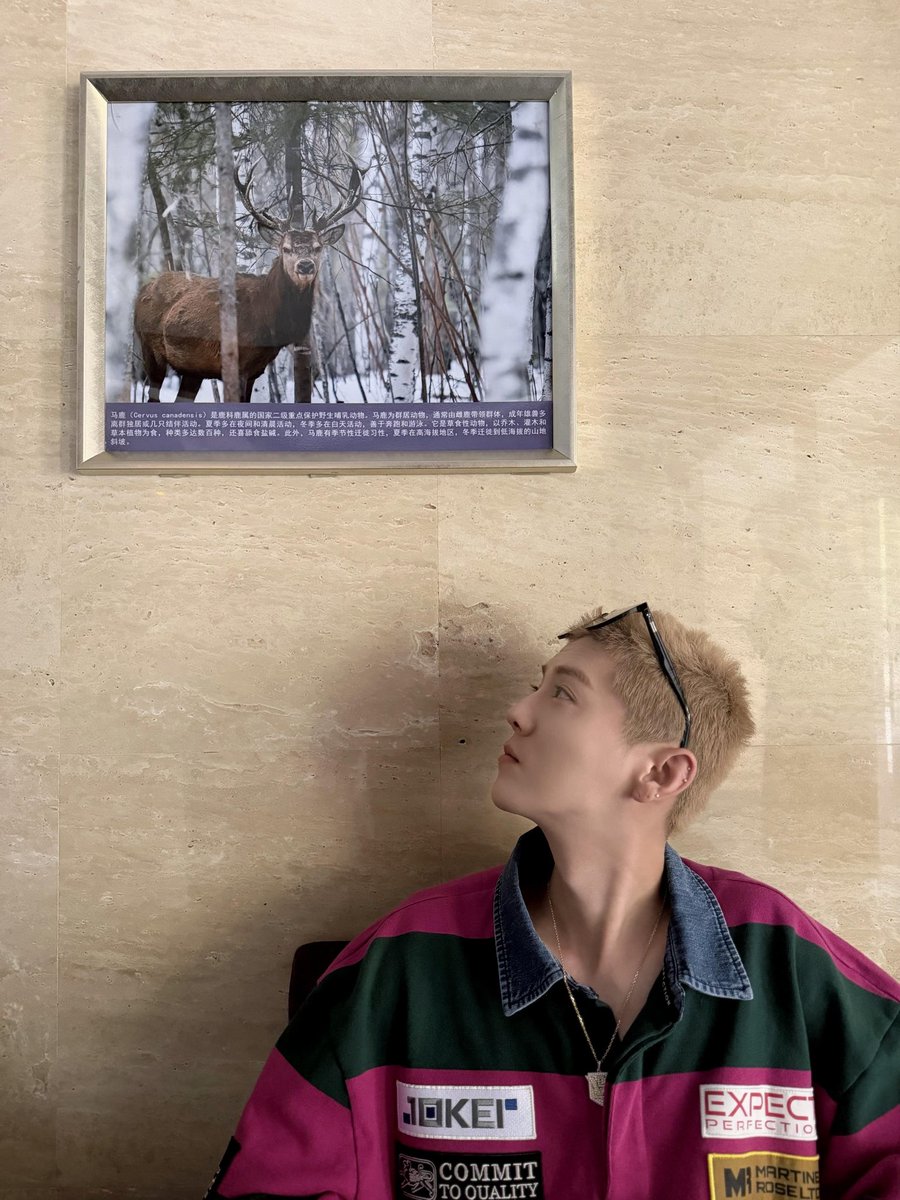 Jiaxin🦌💛 tweet media