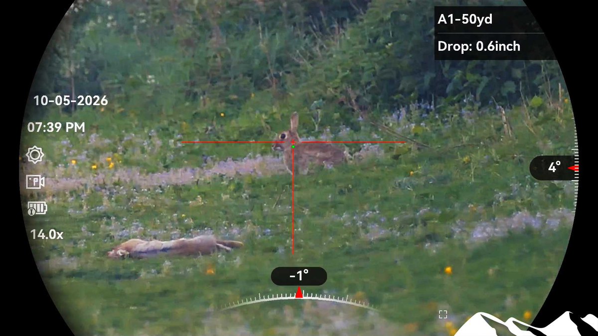 fieldsportstv's tweet photo. Wayne Martin is out rabbiting with his air rifle — until a loose dog scatters the rabbits and pegs a pheasant.
Then an unexpected fox appears.
Should he take the shot?
Watch: https://t.co/JOlhhl5kgn
#FieldsportsBritain #AirgunShooting #Rabbiting #FoxControl #JackPyke #HIKMicro @HIKMICRO_jp