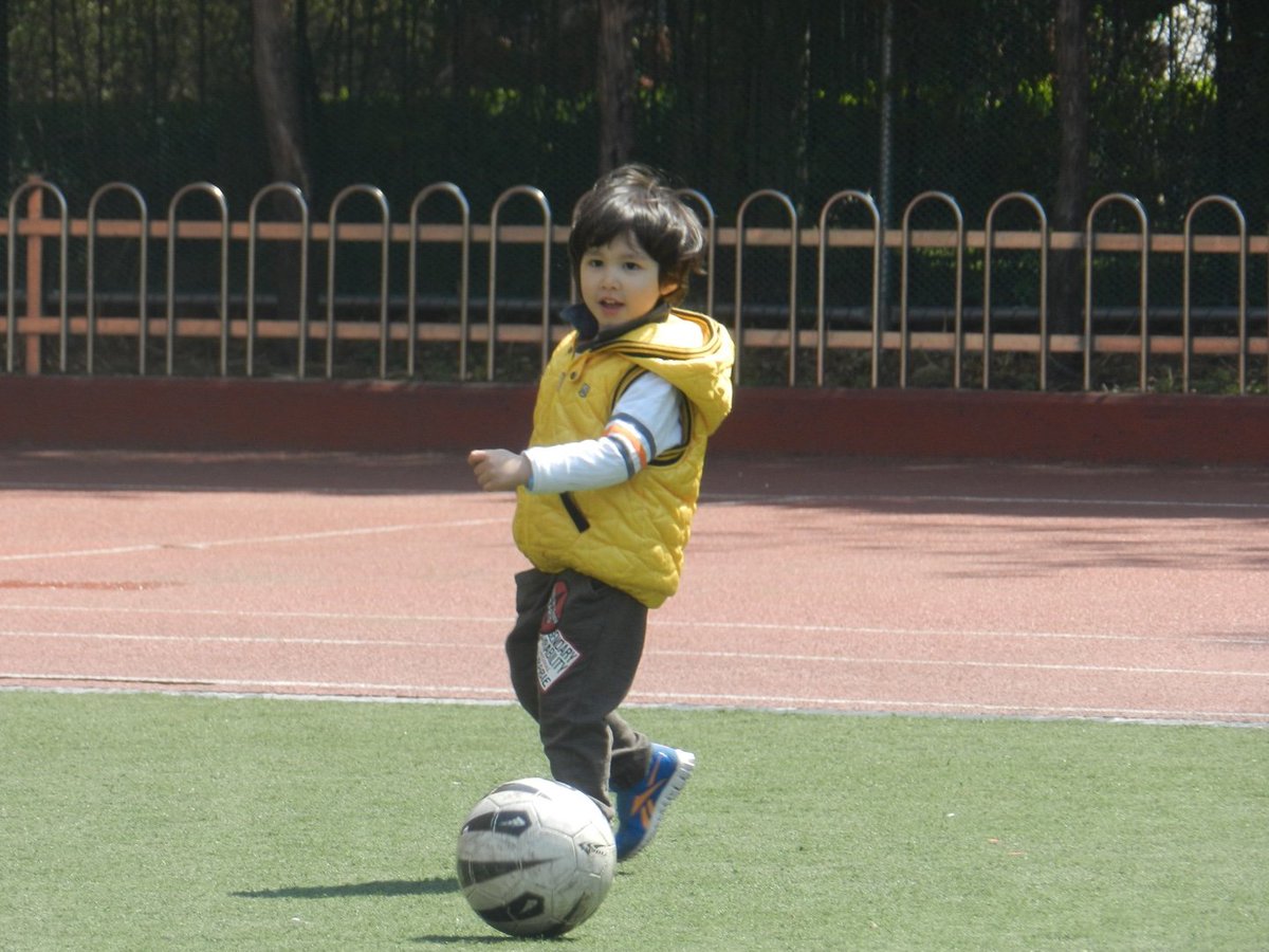 yipei. tweet media
