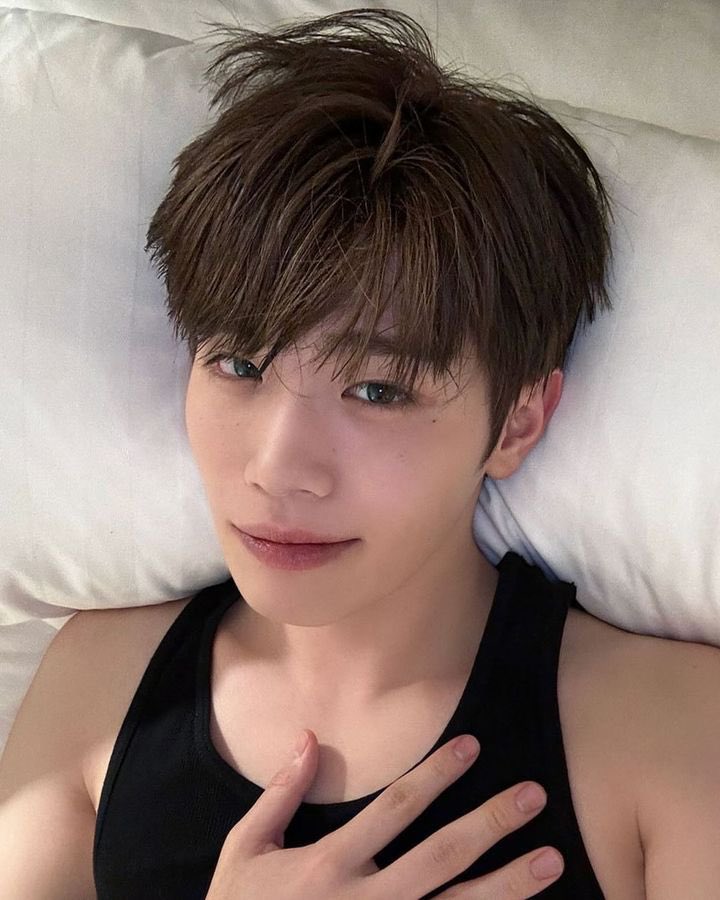 🔝콩🔝 tweet media