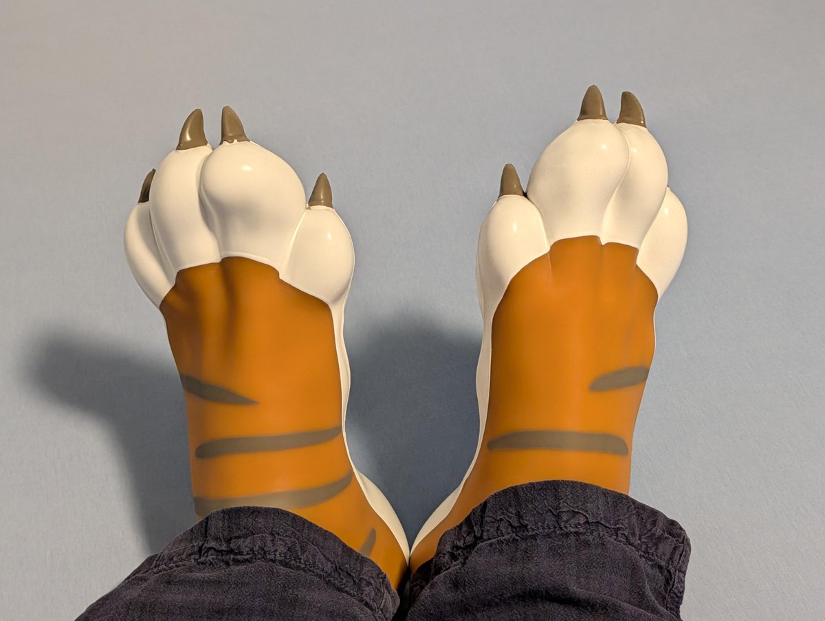 StreifiGreif's tweet photo. Assortment for #PawDay :D https://t.co/2z5AxjAbTR