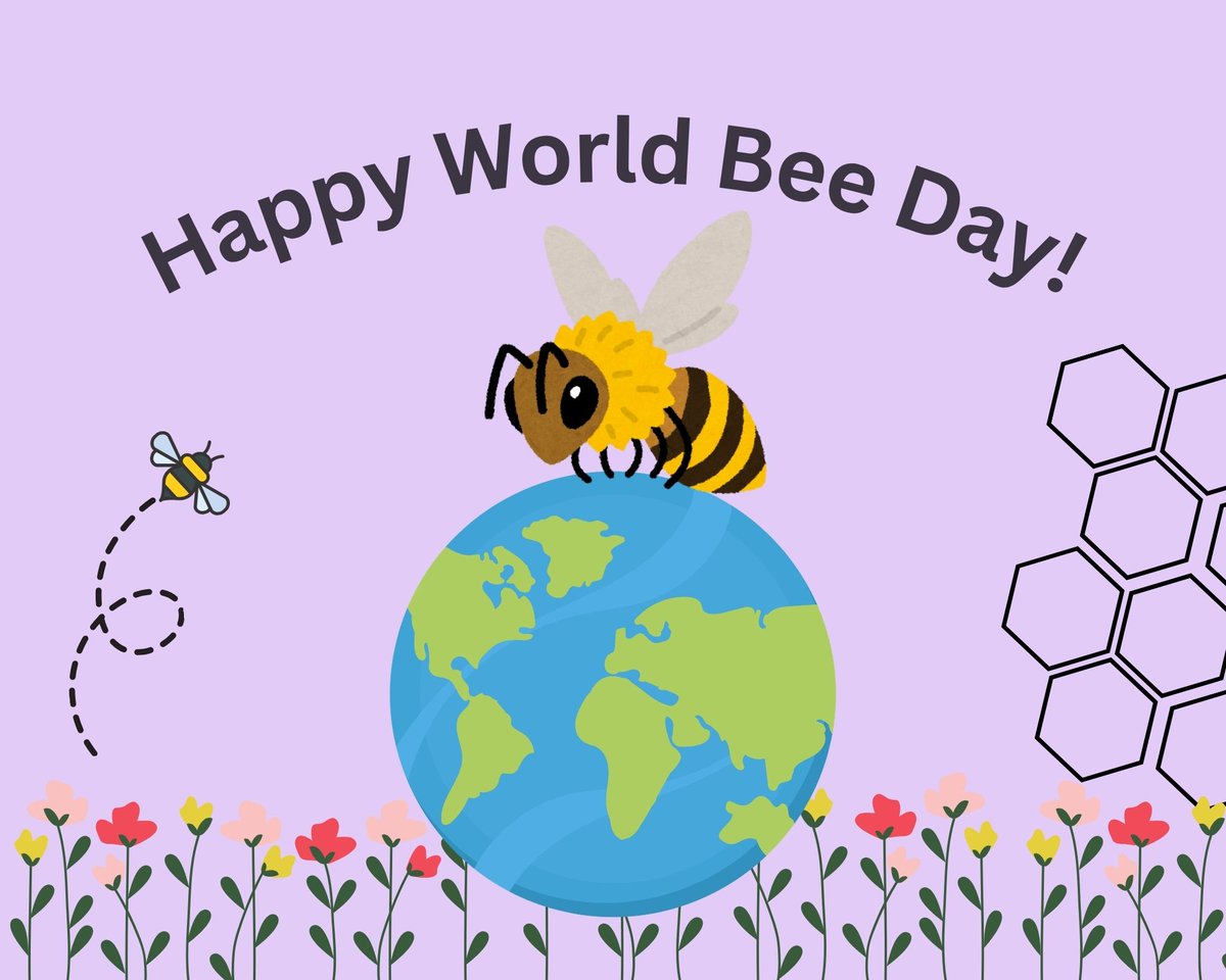 IowaMonarchs's tweet photo. Happy #WorldBeeDay! Bees are incredibly important pollinators for many crops including watermelon. Watermelon flowers bloom for only 1 day and must receive enough pollen grains from bees to produce a watermelon. How many pollen grains do you think it takes to make a watermelon? https://t.co/4Lq27d0EK0