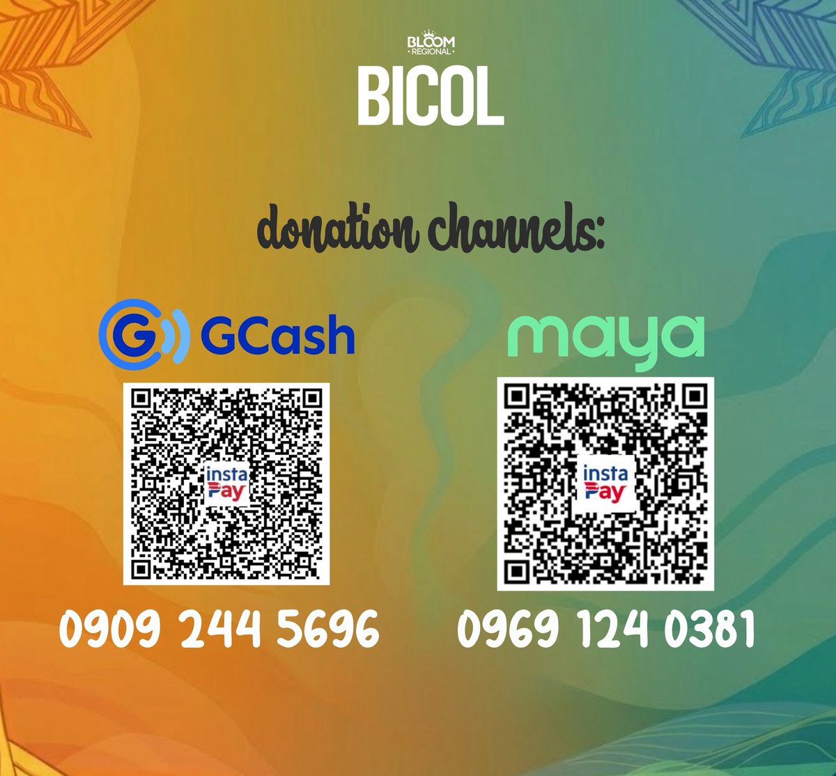TEAM BLOOM BICOL tweet media