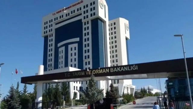 Az Önce Oldu tweet media