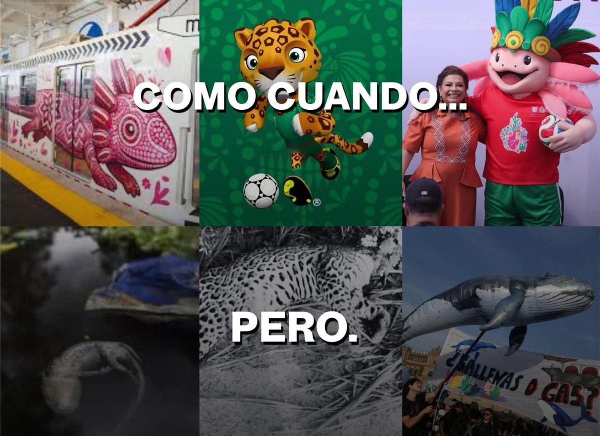 Ballesteros tweet media