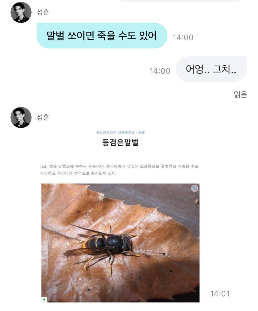 댕철 tweet media