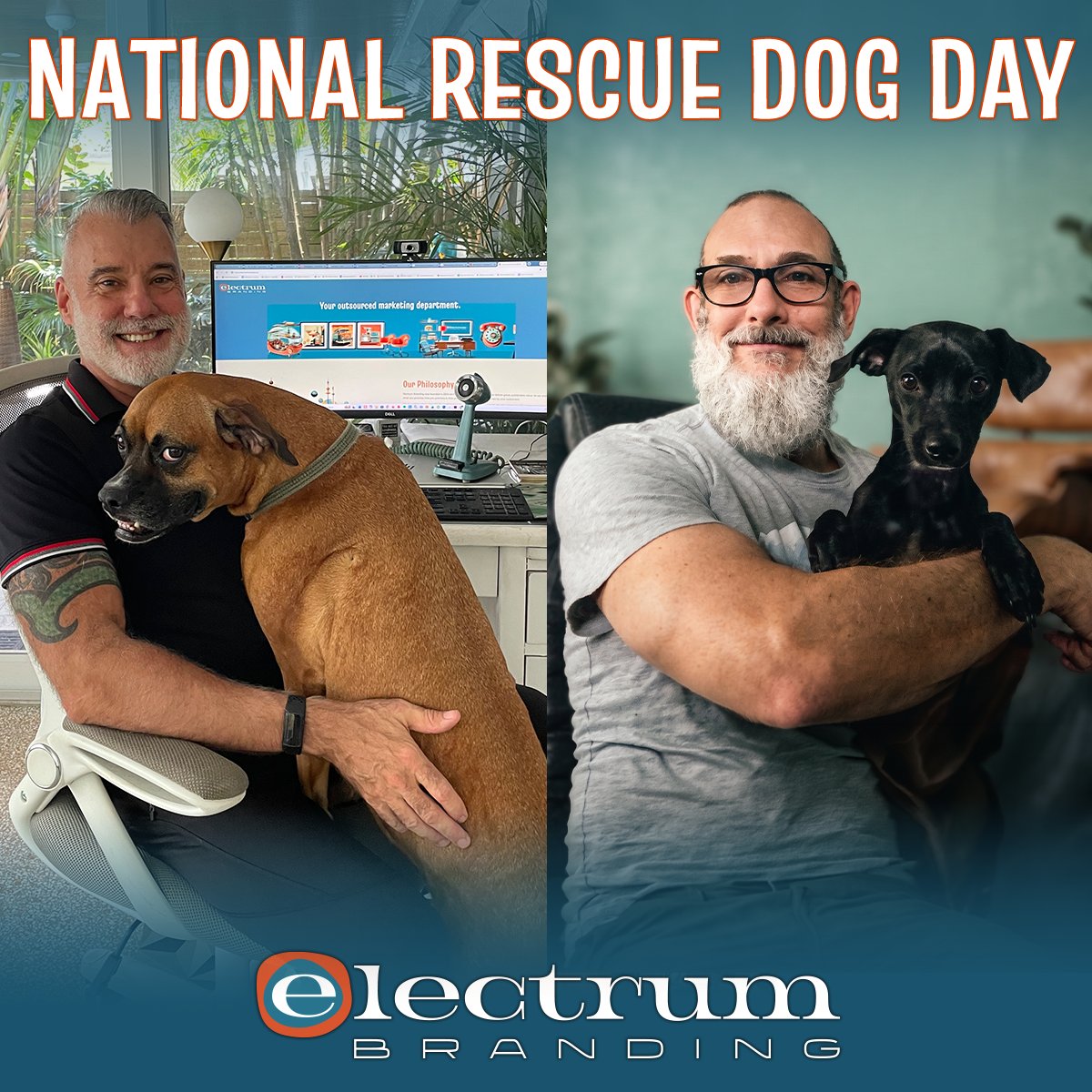 ElectrumBrand's tweet photo. Today is National Rescue Dog Day! Electrum Branding owners Roger Hicks and Tom La Badia know that second chances change lives. Their rescue dogs Gidget and Oliver are constant reminders of the power of compassion and community.  #NationalRescueDogDay #AdoptDontShop https://t.co/MwbQ9iqNon