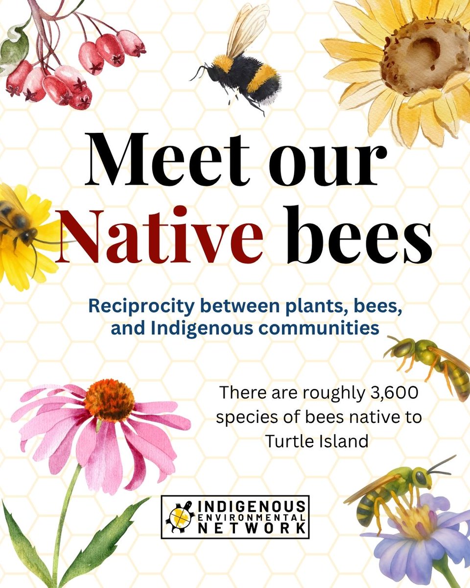 Indigenous Environmental Network tweet media