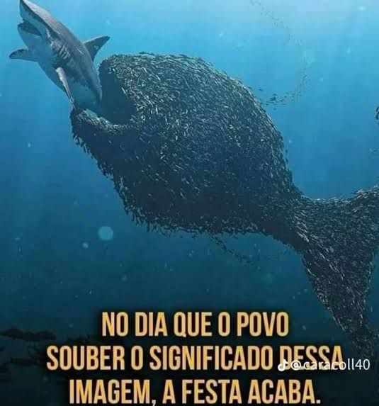 Anaaa tweet media