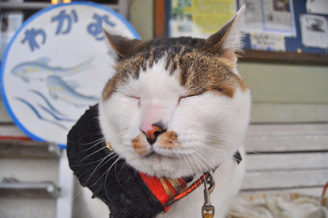 ぼん tweet media
