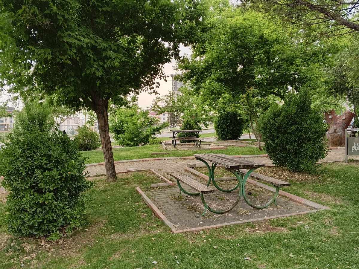 Gökçe tweet media