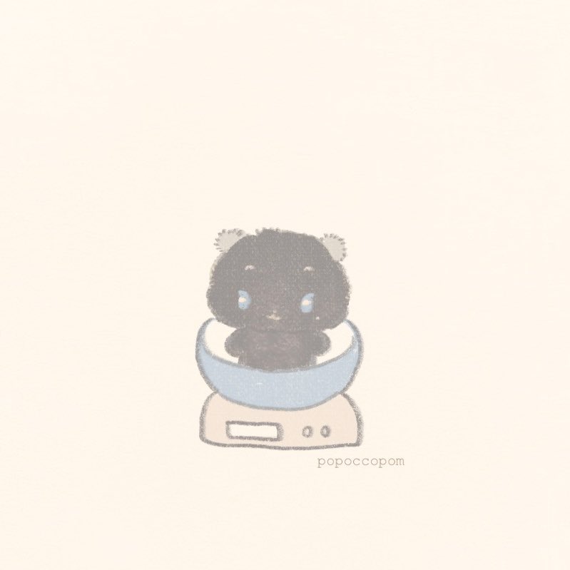 봄 tweet media