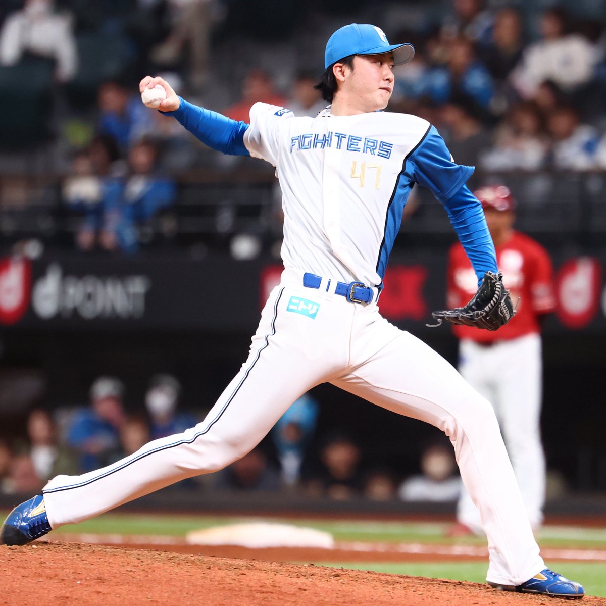 北海道日本ハムファイターズ公式 tweet media