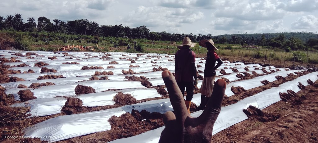 The Agri-Contractor | Farmily Field Farms tweet media