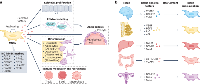 Nature Reviews Cancer tweet media