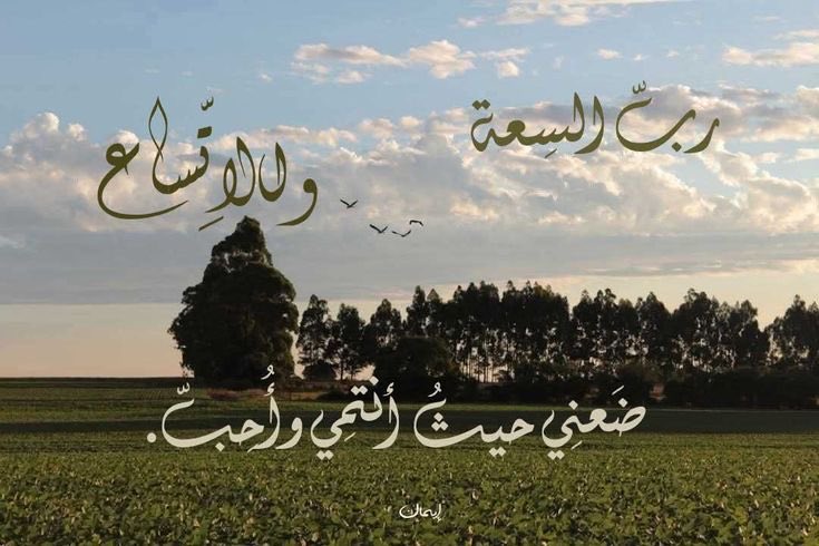 سَكَن tweet media