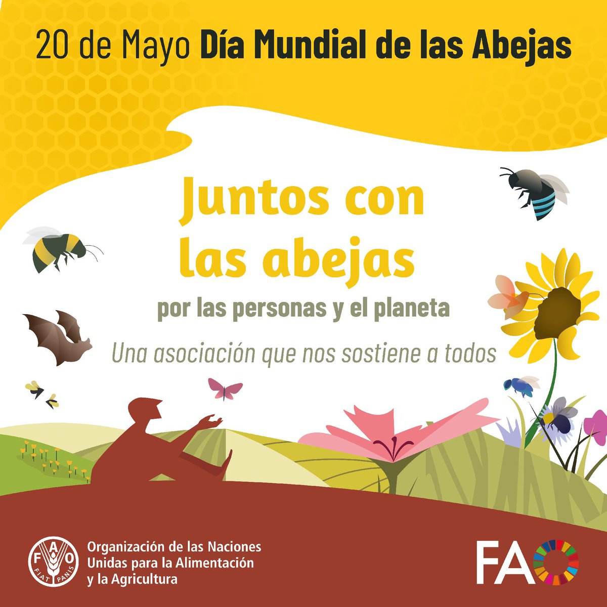 FAO México tweet media