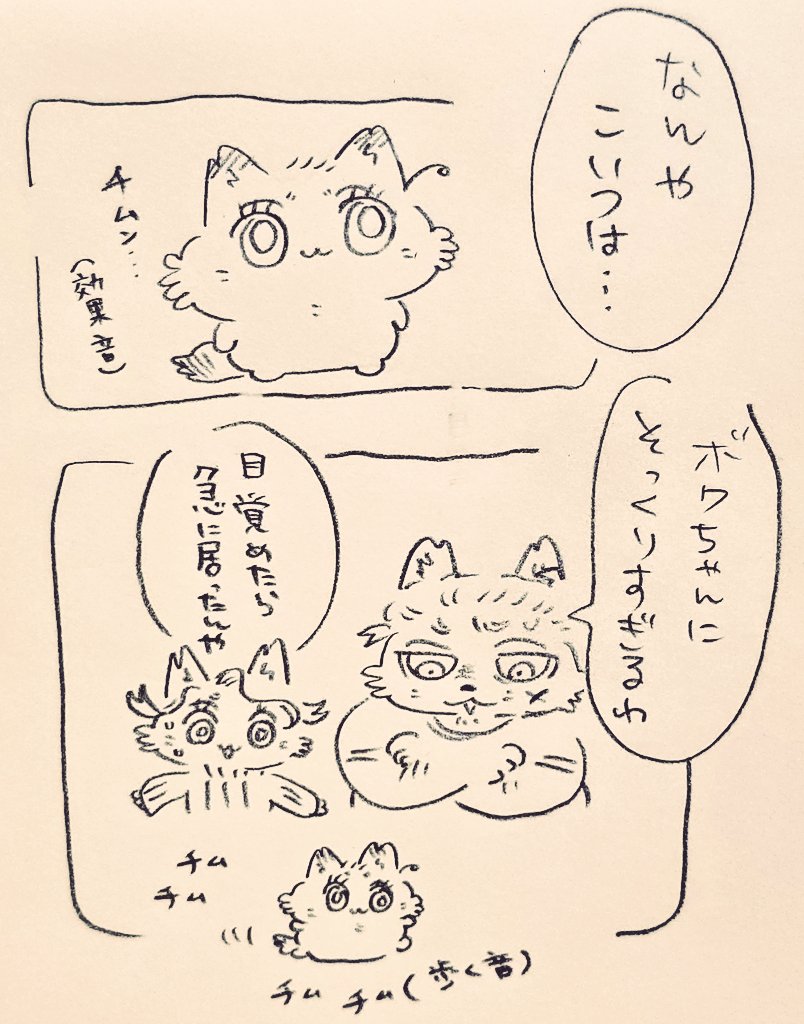 🌻めろむー🐐 tweet media
