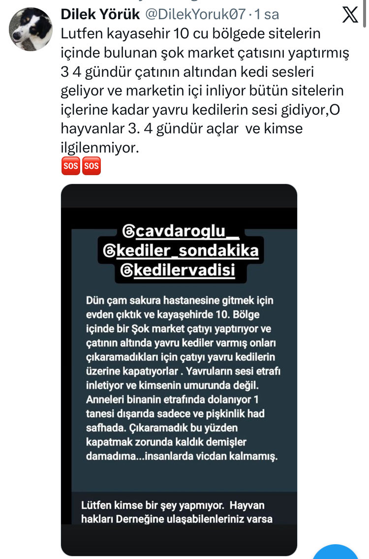 sokak hayvanlarına destek tweet media